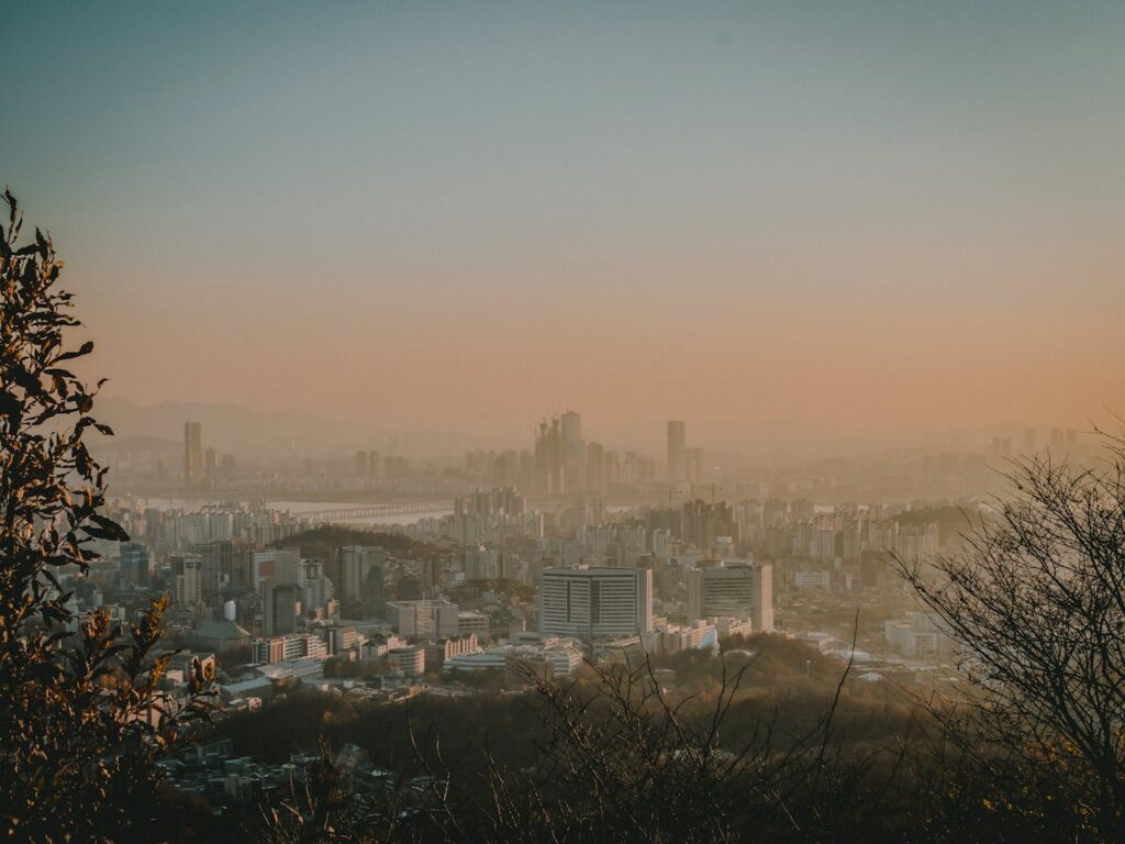 A scenery of Seoul from a mountain