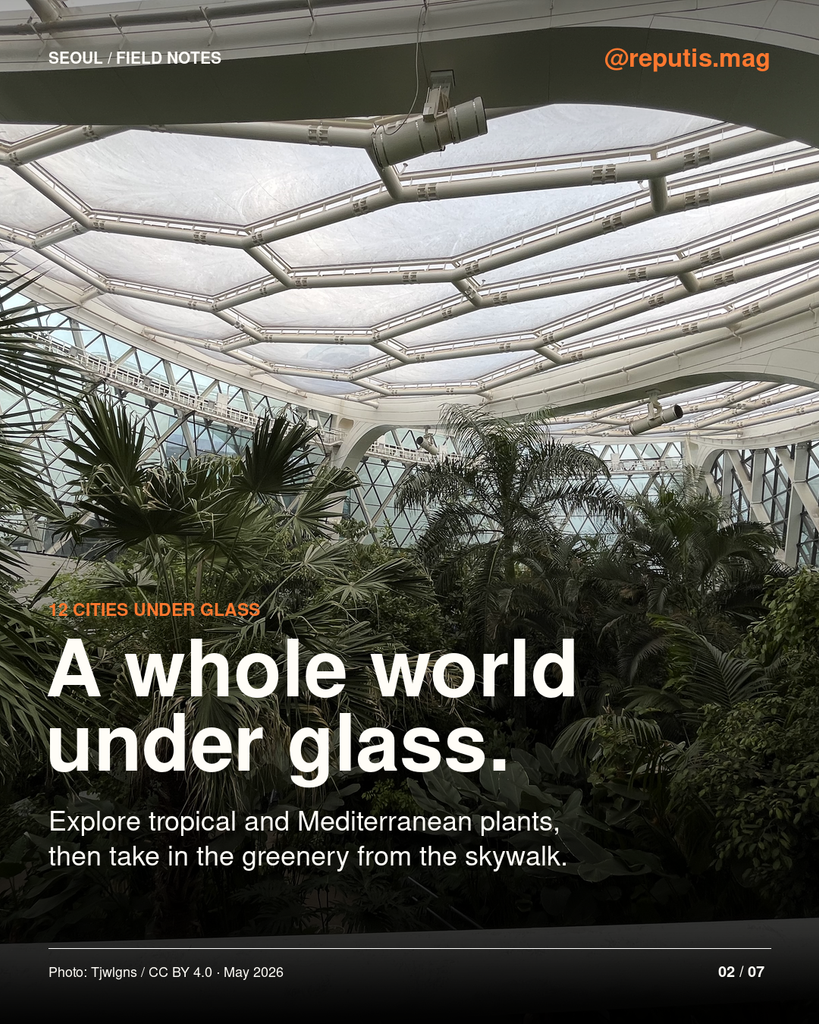 View from the skywalk across dense tropical greenery beneath the greenhouse roof.
