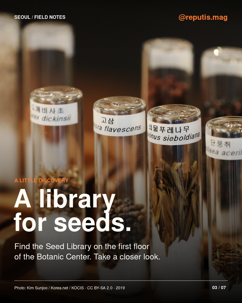 Close-up of labeled seed specimens in glass tubes at Seoul Botanic Park.
