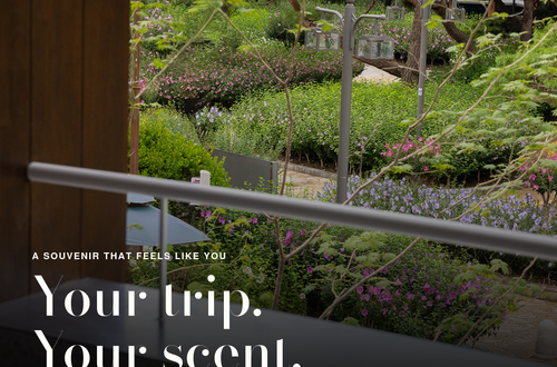 Green garden seen through a window at Komfortabel COFFEE Gungjeong-dong. Text reads “Your trip. Your scent.” Save this guide for your next Seoul trip.